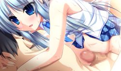 Rule 34 | 1girl, amagasa setsuna, blue eyes, blue hair, blush, censored, game cg, nude, penis, tamahaji! -tamatama hajikeru imouto-tachi