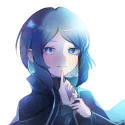 Rule 34 | 1girl, black coat, black jacket, blue eyes, blue hair, coat, hand on own chin, jacket, library of ruina, light smile, looking at viewer, pale skin, porccu 200g, project moon, short hair, sidelocks, smile, the bookhunter, white background