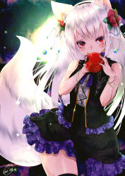 Rule 34 | 1girl, animal ear fluff, animal ears, apple, ascot, backlighting, black skirt, black thighhighs, black vest, bracelet, chita (ketchup), contrapposto, covering own mouth, dress, flower, food, fox ears, fox tail, frilled skirt, frilled vest, frills, fruit, hair flower, hair ornament, hairband, head tilt, highres, jewelry, layered dress, long hair, looking at viewer, original, red eyes, signature, silver hair, skirt, sleeveless, sleeveless dress, solo, sparkle, standing, tail, thighhighs, twitter username, unmoving pattern, vest