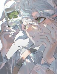 Rule 34 | 1boy, close-up, clover, collared shirt, danganronpa (series), danganronpa 2: goodbye despair, floating, floating object, four-leaf clover, green eyes, grey hair, hair between eyes, highres, kiyoshi st, komaeda nagito, leaf, long sleeves, looking at object, male focus, medium hair, parted lips, plant, portrait, shirt, simple background, solo, white background, white shirt