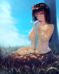 Rule 34 | 1girl, animal, animal on lap, black hair, blue eyes, blue sky, book, bow, bug, butterfly, cat, closed mouth, cloud, cloudy sky, collarbone, day, eyebrows, eyelashes, grass, green shirt, head tilt, highres, holding, holding book, insect, jacket, kisei2, long hair, long skirt, long sleeves, looking at viewer, on lap, open clothes, open jacket, original, outdoors, pink bow, pink lips, shirt, sitting, sitting on lap, sitting on person, skirt, sky, sleeping, sleeves past wrists, smile, solo, undershirt, white jacket