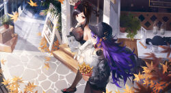 Rule 34 | 2girls, absurdres, alternate costume, autumn leaves, bag, bare shoulders, baseball cap, black footwear, black hair, black headwear, black shirt, box stack, breasts, brown pantyhose, cafe, casual, cat, chevreuse (genshin impact), chiori (genshin impact), closed mouth, commentary, cup, food, french fries, fur shawl, genshin impact, grey jacket, hair ornament, hair stick, halterneck, hat, headphones, headphones around neck, highres, jacket, large breasts, leaf print, long hair, medium breasts, multicolored hair, multiple girls, open clothes, open jacket, open sign, orange hair, outdoors, pantyhose, parted bangs, plant, pointy hair, potted plant, purple eyes, purple hair, red eyes, saucer, shawl, shirt, shopping bag, sideboob, sign, sleeveless, sleeveless shirt, streaked hair, swkl:d, symbol-only commentary, two-tone hair, very long hair, walking, white hair, white shirt