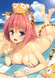 Rule 34 | 1girl, absurdres, animal ears, arm support, ass, bare shoulders, barefoot, beach, bikini, bracelet, breasts, claw pose, cleavage, collarbone, comic toranoana, day, feet, flower bracelet, front-tie top, highres, jewelry, kotora (toranoana), large breasts, legs up, looking at viewer, lying, on stomach, open mouth, pink hair, polka dot, polka dot bikini, polka dot swimsuit, purple eyes, shiny skin, side-tie bikini bottom, soles, solo, source request, strap gap, string bikini, swimsuit, tail, the pose, tiger, tiger ears, tiger tail, toes, yuuki hagure