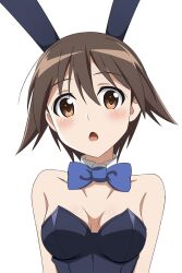 Rule 34 | 1girl, :o, animal ears, blue bow, blue bowtie, blue leotard, blush, bow, bowtie, breasts, brown eyes, cleavage, fake animal ears, highres, kanata mako, leotard, looking at viewer, miyafuji yoshika, open mouth, playboy bunny, rabbit ears, simple background, small breasts, solo, strike witches, upper body, white background, world witches series