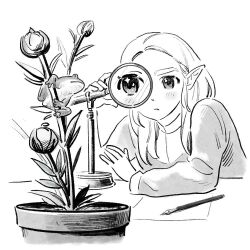 Rule 34 | 1girl, animal, arm on table, close-up, flower, frog, gkfdlfdjqtdma, greyscale, hair over shoulder, hand up, korean commentary, long hair, looking at animal, magnifying glass, monochrome, nintendo, paper, parted bangs, pen, plant, pointy ears, potted plant, princess zelda, serious, simple background, sparkling eyes, the legend of zelda, the legend of zelda: breath of the wild, upper body
