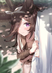 Rule 34 | 1girl, absurdres, animal ears, arm hug, blush, brown dress, brown hair, bush, closed mouth, collarbone, collared dress, commentary request, cowboy shot, dress, eyes visible through hair, hair over one eye, hairband, highres, horse ears, leaf, long hair, long sleeves, looking at viewer, neck ribbon, ooeyama, out of frame, outdoors, purple eyes, ribbon, rice shower (umamusume), shade, smile, solo focus, umamusume