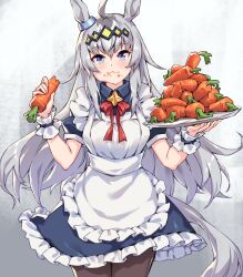 Rule 34 | 1girl, :3, ahoge, alternate costume, animal ears, bara (totocos), black pantyhose, blue eyes, carrot, commentary request, cowboy shot, dress, eating, enmaided, food, food on face, frilled dress, frills, gradient background, grey hair, hair between eyes, hair ornament, highres, holding, holding tray, horse ears, horse girl, horse tail, long hair, looking at viewer, maid, multicolored hair, oguri cap (umamusume), pantyhose, procreate (medium), puffy short sleeves, puffy sleeves, scrunchie, short sleeves, smile, solo, streaked hair, tail, tray, umamusume, wrist scrunchie