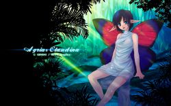 Rule 34 | blue eyes, blue hair, butterfly wings, genshi, highres, insect wings, nature, pointy ears, see-through, short hair, sitting, solo, sunlight, water, wings