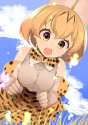Rule 34 | 10s, 1girl, :d, animal ears, animal print, bare shoulders, blonde hair, blue sky, bow, bowtie, breasts, brown dress, brown gloves, cat ears, clenched hands, cloud, cloudy sky, cowboy shot, day, dress, elbow gloves, gloves, grass, hair between eyes, hands up, high-waist skirt, kemono friends, leaf, legs apart, open mouth, outdoors, plant, savannah, sawaco (sawaco520), serval (kemono friends), serval print, serval tail, shirt, short dress, short hair, skirt, sky, sleeveless, sleeveless shirt, smile, solo, standing, tail, thighhighs, white gloves, white shirt, yellow eyes
