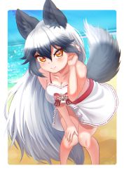 Rule 34 | 1girl, animal ears, beach, bikini, blush, breasts, cleavage, day, extra ears, fox ears, fox tail, grey hair, twirling hair, kemomimizuku, kemono friends, large breasts, leaning forward, long hair, looking at viewer, ocean, official alternate costume, orange eyes, playing with own hair, sarong, silver fox (kemono friends), sky, smile, solo, standing, swimsuit, tail, very long hair, water, white bikini, white sarong