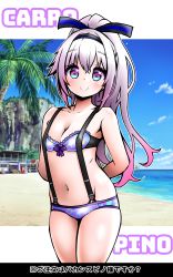 Rule 34 | .live, absurdres, alternate costume, alternate hairstyle, arms behind back, beach, breasts, carro pino, character name, cleavage, collarbone, commentary request, highres, long hair, looking at viewer, navel, ocean, ponytail, purple eyes, purple hair, sky, small breasts, smile, swimsuit, virtual youtuber, zebrablack