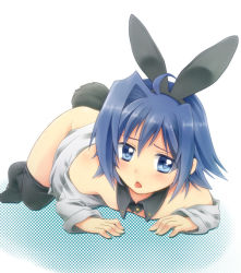 Rule 34 | 10s, 1boy, :&lt;, animal ears, blue eyes, blue hair, cardfight!! vanguard, detached collar, full body, male focus, male playboy bunny, matching hair/eyes, open mouth, rabbit, rabbit ears, rabbit tail, sendou aichi, short hair, simple background, solo, tail, thighhighs, trap, white background, yuratoko