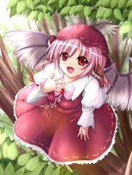 Rule 34 | 1girl, animal ears, branch, female focus, from above, hand on another&#039;s chest, hand on own chest, hat, leaf, mystia lorelei, open mouth, pink hair, red eyes, short hair, solo, touhou, tree, uzura purin, wings
