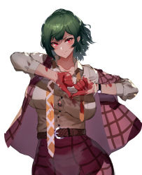 Rule 34 | 1girl, belt, black bra, blood, blood on clothes, blood on hands, bra, bra peek, breasts, button gap, buttons, closed mouth, collarbone, collared shirt, commentary request, dirty, dirty clothes, floating hair, green hair, hands up, head tilt, heart, heart hands, highres, kazami yuuka, kikimifukuri, long sleeves, looking at viewer, medium hair, necktie, open clothes, open vest, partially unbuttoned, plaid, plaid skirt, plaid vest, red eyes, red skirt, red vest, shirt, sidelocks, simple background, skirt, skirt set, smile, solo, thumbs down, touhou, underwear, undone necktie, upper body, vest, watch, white background, white shirt, wristwatch