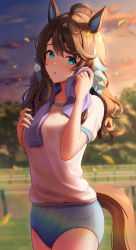 Rule 34 | 1girl, ahoge, animal ears, blurry, blurry background, blush, breasts, brown hair, buruma, cloud, daring tact (umamusume), green eyes, gym uniform, highres, horse ears, horse girl, horse tail, kashmir 0808, leaf, lens flare, long hair, looking at viewer, medium breasts, open mouth, outdoors, resolution mismatch, shirt, short sleeves, solo, source larger, standing, sunset, sweat, tail, towel, towel around neck, tree, umamusume, white shirt