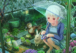 Rule 34 | 1girl, aiuabo, albino, animal, bag, between legs, blue cardigan, blue dress, blue flower, blue footwear, bride, camera, cardigan, chain-link fence, commentary request, corsage, dress, fence, flower, frog, high heels, highres, holding, holding camera, holding umbrella, hydrangea, jewelry, lantern, lily pad, long sleeves, necklace, necktie, original, pearl necklace, pink flower, plant, purple flower, rabbit, rain, red eyes, side ponytail, smile, snail, solo, squatting, transparent, transparent umbrella, umbrella, veil, wallpaper, wedding, white hair, white necktie