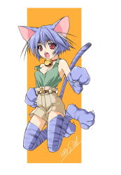 Rule 34 | animal ears, bell, cat, cat ears, collar, highres, jingle bell, neck bell, solo, suzuhira hiro, thighhighs