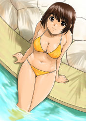 Rule 34 | 1girl, arm support, ayase fuuka, bikini, bob cut, breasts, brown eyes, brown hair, cleavage, eyebrows, from above, large breasts, looking at viewer, looking up, navel, pool, poolside, shiny skin, short hair, shu-z, sitting, smile, soaking feet, solo, swimsuit, thick eyebrows, thigh gap, tree shade, water, yotsubato!
