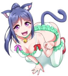 Rule 34 | 10s, 1girl, all fours, animal ears, bare shoulders, bell, blue hair, blush, bow, bowtie, bra, breasts, cat ears, cat tail, cleavage, collar, collarbone, earrings, eyes visible through hair, frilled bra, frilled legwear, frilled panties, frills, green panties, hair between eyes, jewelry, large breasts, long hair, looking at viewer, love live!, love live! sunshine!!, matsuura kanan, neck bell, open mouth, panties, pet play, ponytail, purple eyes, simple background, smile, solo, tail, underwear, white background, yopparai oni