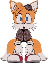 Rule 34 | 1boy, animal ears, animal nose, arms at sides, blue eyes, body fur, brown capelet, brown hat, capelet, child, constricted pupils, digimin, empty eyes, fedora, fox boy, fox ears, fox tail, full body, furry, furry male, gloves, hat, legs apart, looking at viewer, male focus, mini hat, multiple tails, non-web source, official art, open mouth, plaid capelet, red footwear, shoes, simple background, socks, solo, sonic (series), standing, straight-on, tail, tails (sonic), the murder of sonic the hedgehog, transparent background, two-tone fur, two tails, white fur, white gloves, white socks, wide-eyed, yellow fur