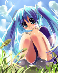 Rule 34 | 1girl, aqua eyes, bad id, bad pixiv id, blue hair, from below, grass, hands on own knees, happy, hatsune miku, knees together feet apart, kobanzame, long hair, nature, open mouth, smile, solo, squatting, twintails, vocaloid