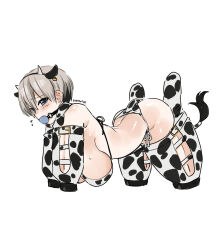 Rule 34 | 1girl, all fours, animal ear headphones, animal ears, animal print, arched back, artist name, ass, ball gag, bare shoulders, bdsm, bikini, blue eyes, blush, bondage, bound, bound arms, bound legs, breasts, commentary, commission, cow ears, cow girl, cow horns, cow print, cow print bikini, cow tail, ear tag, english commentary, eudetenis, fake animal ears, fake horns, fake tail, fang, flying sweatdrops, from side, full body, fur-tipped tail, gag, gagged, grey hair, hair between eyes, hanging breasts, headphones, highres, horn hairband, horns, human dog, large breasts, legs folded, looking at viewer, print bikini, second-party source, short hair, side-tie bikini bottom, signature, simple background, solo, swimsuit, tail, uzaki-chan wa asobitai!, uzaki hana, white background