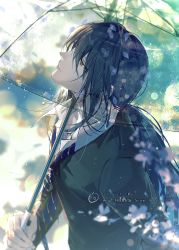 Rule 34 | 1boy, bishounen, black hair, black sweater, blue necktie, blurry, blurry background, closed mouth, eyes visible through hair, fate/grand order, fate (series), green eyes, hair between eyes, highres, holding, holding umbrella, long hair, long sleeves, looking up, low ponytail, male focus, necktie, petals, rrr (reason), solo, sweater, twitter username, umbrella, upper body, watermark, weibo watermark, yan qing (fate)