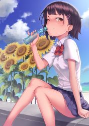 Rule 34 | 1girl, ;), bad id, bad pixiv id, beach, blue skirt, blue sky, blush, bottle, bow, bowtie, brown eyes, brown hair, closed mouth, cloud, collared shirt, commentary request, copyright request, day, dress shirt, flower, glint, hair ornament, hairclip, hand up, holding, holding bottle, ocean, one eye closed, outdoors, pleated skirt, ramune, red bow, red bowtie, ryuinu, sand, shirt, short hair, short sleeves, sitting, skirt, sky, smile, solo, sunflower, water, white shirt, yellow flower