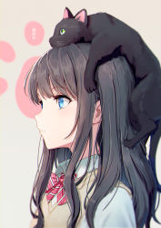 Rule 34 | 1girl, animal, animal on head, black cat, black hair, blue eyes, blurry, bow, bowtie, cat, cat on head, closed mouth, collared shirt, depth of field, expressionless, facing to the side, from side, green eyes, hair between eyes, highres, hyuuga azuri, long hair, looking ahead, on head, original, paw print, paw print background, profile, school uniform, shirt, sidelocks, simple background, striped bow, striped bowtie, striped clothes, sweater vest, swept bangs, upper body, white shirt