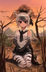 Rule 34 | 10s, 1girl, aardwolf (kemono friends), animal ears, animal print, ant, bad id, bad pixiv id, bare shoulders, black hair, blurry, blurry foreground, breast pocket, brown eyes, bug, closed mouth, cloud, commentary request, depth of field, dokomon, elbow gloves, full body, gloves, high ponytail, insect, kemono friends, long hair, looking at viewer, multicolored hair, necktie, no shoes, orange sky, outdoors, pantyhose, pantyhose under shorts, pocket, ponytail, print gloves, print legwear, seiza, shirt, shorts, silver hair, sitting, sky, sleeveless, sleeveless shirt, smile, star (sky), starry sky, tail, twilight, two-tone hair