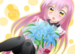 Rule 34 | blush, bouquet, flower, happy birthday, hayate no gotoku!, katsura hinagiku, kuriyuzu kuryuu, long hair, pink hair, school uniform, serafuku, thighhighs, yellow eyes
