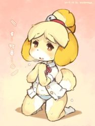 Rule 34 | 10s, 1girl, 2015, :o, animal crossing, animal ears, artist name, bell, blonde hair, bright pupils, brown eyes, covering breasts, covering privates, dated, dog ears, dog girl, furry, furry female, gradient background, hair ornament, isabelle (animal crossing), jingle bell, kneeling, nintendo, no pants, no shoes, open clothes, open mouth, open shirt, own hands together, panties, ponytail, shigatake, shirt, short hair, short sleeves, socks, solo, striped clothes, striped panties, tail, unbuttoned, underwear, wet