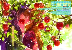 Rule 34 | 2girls, animal ears, apple, apple tree, artist name, black hair, blush, braid, brown hair, brown shawl, character request, closed eyes, comitia, commentary request, couple, covered mouth, dappled sunlight, eyelashes, eyes visible through hair, face-to-face, facing another, fingernails, floral print, food, fox ears, fringe trim, from side, fruit, gouhou yuri fuufu hon, green kimono, hair between eyes, hair over shoulder, hair tie, hands up, highres, holding, holding food, holding fruit, imminent kiss, japanese clothes, kimono, long hair, long sleeves, looking at another, low ponytail, multiple girls, petals, pink eyes, pink kimono, pink scarf, print kimono, red apple, scarf, shawl, single braid, sunlight, translation request, tree, tree shade, under tree, yuri
