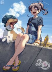 Rule 34 | 1girl, aircraft, airplane, anniversary, bag, black shirt, bottle, brown eyes, brown hair, cloud, cloudy sky, commentary request, contrail, day, denim, denim overalls, dog, flip-flops, full body, hat, highres, looking at animal, open mouth, original, outdoors, overalls, pairan, ponytail, sandals, shirt, short sleeves, sitting, sky, smile, solo, sunlight, t-shirt, teeth, unworn bag, upper teeth only, wind