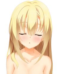 Rule 34 | 1girl, absurdres, aoha 81, arihara nanami, blonde hair, blush, close-up, closed eyes, collarbone, commentary request, completely nude, eyelashes, eyes visible through hair, hair between eyes, hair down, hair over shoulder, highres, incoming kiss, long hair, nude, partial commentary, pov, puckered lips, riddle joker, simple background, solo, very long hair, white background