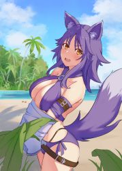 Rule 34 | 1girl, absurdres, animal ear fluff, animal ears, arm belt, beach, bikini, blush, breasts, cleavage, collarbone, criss-cross halter, cygames, halterneck, highres, large breasts, looking at viewer, makoto (princess connect!), makoto (summer) (princess connect!), o-ring, o-ring bikini, o-ring top, ocean, open mouth, outdoors, princess connect!, purple bikini, purple hair, solo, swimsuit, tail, whitek, wolf ears, wolf girl, wolf tail, yellow eyes
