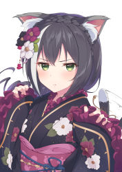 Rule 34 | 1girl, :t, alternate hairstyle, animal ear fluff, animal ears, black flower, black hair, black kimono, blush, braid, cat ears, cat girl, cat tail, commentary request, crown braid, floral print, flower, frilled sleeves, frills, hair flower, hair ornament, highres, japanese clothes, karyl (new year) (princess connect!), karyl (princess connect!), kimono, lemonolemone, long hair, long sleeves, looking at viewer, motion lines, multicolored hair, obi, pout, princess connect!, print kimono, purple flower, ribbon, sash, simple background, sleeves past wrists, solo, streaked hair, tail, tail ornament, tail ribbon, tail wagging, upper body, v-shaped eyebrows, white background, white flower, white hair, yellow ribbon, yukata