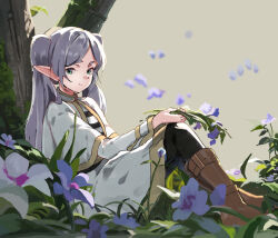 Rule 34 | 1girl, black pantyhose, blue flower, boots, brown footwear, capelet, closed mouth, commentary request, elf, flower, frieren, green eyes, grey background, grey hair, highres, knees up, lamb (hitsujiniku), long hair, long sleeves, looking at viewer, on grass, pantyhose, parted bangs, pointy ears, shirt, short eyebrows, simple background, sitting, skirt, smile, solo, sousou no frieren, striped clothes, striped shirt, thick eyebrows, tree, twintails, white capelet, white flower, white skirt