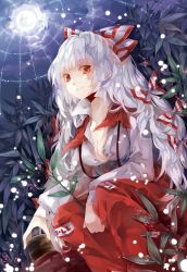 Rule 34 | 1girl, bad id, bad pixiv id, bow, breasts, cleavage, cloud, cloudy sky, cup, eveshut, fujiwara no mokou, hair bow, hair ribbon, highres, leaf, long hair, moon, no bra, plant, red eyes, ribbon, shirt, silk, sitting, sky, solo, spider web, suspenders, touhou, unbuttoned, white hair