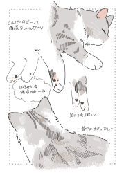 Rule 34 | animal, animal ear fluff, animal focus, cat, closed eyes, closed mouth, commentary request, highres, no humans, original, pawpads, simple background, speech bubble, translation request, white background, yuizaki kazuya