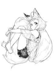 Rule 34 | 1girl, ahoge, animal ear fluff, animal ears, barefoot, bike shorts, commentary request, crossed ankles, fox ears, fox girl (jaco), fox tail, from side, full body, greyscale, hugging own legs, hugging own tail, hugging tail, jaco, large tail, looking at viewer, monochrome, original, see-through, shirt, short hair, short shorts, shorts, simple background, solo, tail, thick eyebrows, white background