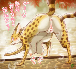 Rule 34 | 1girl, anus, ass, breasts, censored, cheetah, female focus, full body, furry, furry female, gradient background, melonleaf, nature, nipples, open mouth, plant, pussy, red eyes, solo