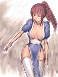 Rule 34 | 1girl, breasts, choker, cleavage, dead or alive, fumio (rsqkr), kasumi (doa), large breasts, ninja, pelvic curtain, ponytail, solo, tecmo, thighhighs