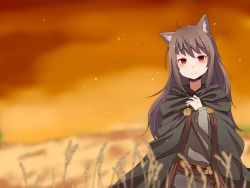 Rule 34 | 1girl, animal ears, bad id, bad pixiv id, blurry, brown hair, cloak, depth of field, highres, holo, long hair, red eyes, smile, solo, spice and wolf, wk (low-f), wolf ears