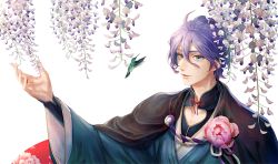 Rule 34 | 10s, 1boy, ahoge, animal, bad id, bad pixiv id, bird, blue eyes, cape, flower, hair between eyes, hummingbird, japanese clothes, kasen kanesada, long sleeves, looking at viewer, male focus, outstretched arm, palms, parted lips, petals, purple hair, reaching, red ribbon, ribbon, rowya, smile, touken ranbu, upper body, white background, wide sleeves, wisteria