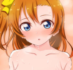Rule 34 | 10s, 1girl, blue eyes, blush, bow, completely nude, hair between eyes, hair bow, kosaka honoka, long hair, looking at viewer, love live!, love live! school idol project, nude, orange background, orange hair, out-of-frame censoring, parted lips, portrait, sexually suggestive, side ponytail, simple background, solo, sweat, topless frame, upper body, very sweaty, wet, wet hair, wewe