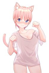 Rule 34 | 1girl, animal ear fluff, animal ears, blue eyes, blush, breasts, cat ears, cat tail, cleavage, closed mouth, collarbone, commentary, covered navel, go-toubun no hanayome, hair between eyes, hands up, highres, large breasts, looking at viewer, nakano ichika, naked shirt, nose blush, paw pose, pink hair, profnote, see-through, see-through silhouette, shirt, short hair, short sleeves, simple background, single bare shoulder, solo, symbol-only commentary, tail, tail raised, thighs, white shirt