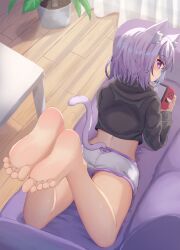 Rule 34 | 1girl, absurdres, animal ear fluff, animal ears, back, bare legs, barefoot, black sweater, blush, cat ears, cat tail, closed mouth, commentary request, couch, curvy, expressionless, feet, from above, hair between eyes, handheld game console, highres, hololive, indoors, kajitsu no hito, knees apart feet together, legs up, light purple hair, long sleeves, looking at viewer, looking back, lying, nekomata okayu, nekomata okayu (1st costume), nintendo switch, on couch, on stomach, playing games, purple eyes, purple fur, relaxing, shiny skin, short hair, shorts, sideways glance, soles, solo, sweater, tail, thighs, toes, virtual youtuber, white shorts