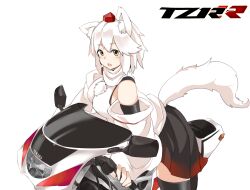 Rule 34 | 1girl, animal ear fluff, animal ears, black skirt, black thighhighs, blush, breasts, commentary request, cowboy shot, detached sleeves, hat, highres, houkai (collapse illust), inubashiri momiji, large breasts, looking at viewer, on motorcycle, open mouth, pom pom (clothes), red hat, red skirt, shirt, short hair, simple background, skirt, sleeveless, sleeveless shirt, solo, tail, thighhighs, tokin hat, touhou, turtleneck, turtleneck shirt, two-tone skirt, white background, white hair, white shirt, white sleeves, wolf ears, wolf girl, wolf tail, yamaha, yamaha tzr250