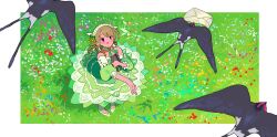 Rule 34 | 1girl, bird, blush, book, border, brown hair, choker, commentary request, dress, drill hair, envelope, field, flower, flower field, frilled dress, frills, from above, full body, grass, green choker, green dress, green sleeves, hairband, highres, holding, holding book, idolmaster, idolmaster cinderella girls, long hair, looking at viewer, morikubo nono, open mouth, outdoors, pink eyes, puffy sleeves, ringlets, shoes, smile, solo, standing, torikeyu, white border, white footwear, white hairband